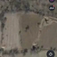 فروش-باغچه-الوان