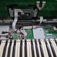 (گالری موسیقی آذری)/فروش قطعات وتعمیرات ارگ وپیانو|پیانو، کیبورد، آکاردئون|تبریز, |دیوار