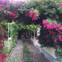 نیروی خدماتی ،نظافت منزل راه پله