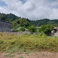 زمین۲۳۵متردونبش،سندتکبرگ تالش تی تک|فروش زمین و ملک کلنگی|تالش, هشتپر|دیوار