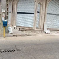 اجاره-مغازه-خیابان-زرافشان