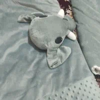 سرویس لحاف و تشک وقنداق فرنگی وپتوپیچ|اسباب و اثاث بچه|دورود, |دیوار