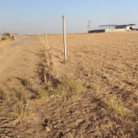 زمین فروشی|فروش زمین و ملک کلنگی|ساروق, |دیوار