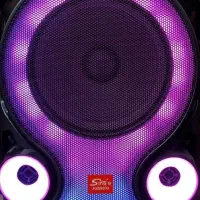 اسپیکر همراه حرفهای