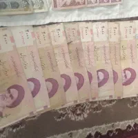 کلسیونی
