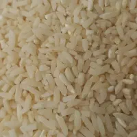 بهترین برنجهای شمال|خوردنی و آشامیدنی|اردبیل, |دیوار