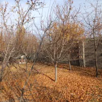 زمین ،باغچه،باغ چهار دیواری ۵۰۰ متری|فروش زمین و ملک کلنگی|چهارباغ, |دیوار