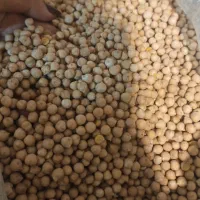 نخود ابگوشتی