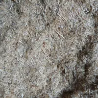 کاه سفید|لوازم جانبی حیوانات|شهرکرد, |دیوار