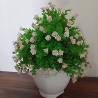 گل به قیمت۱۵۰۰۰۰تومان