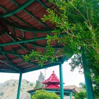 فال قهوه و پاسور وتاروت دقیق و تخصصی