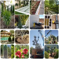 باغبانی آبیاری قطره‌ای کاشت سم پاشی هرس فضای سبز