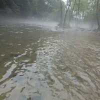 تور شادلحظه اخری 15خرداد