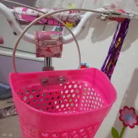 دو عدد دوچرخه دخترانه سایز ۱۲ مناسب هدیه|دوچرخه، اسکیت، اسکوتر|پردیس, فاز ۳|دیوار