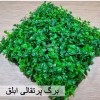 گریل وال (چمن مصنوعی)|گل مصنوعی|همدان, |دیوار