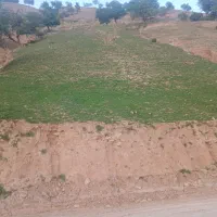 زمین-زراس