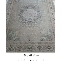 تعدادی فرش در حد نو|فرش|شاهرود, |دیوار