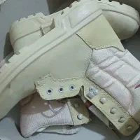 پوتین کویری مرز بانی پاما