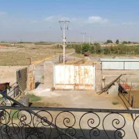 کارگر جهت کار در گاوداری