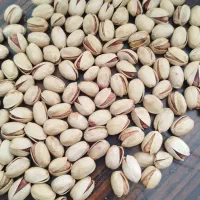 باغ پسته فروشی