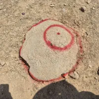 سلام ، فروش یک قطعه زمین ۱۰۰۰ متری واقع در شیراز|فروش زمین و ملک کلنگی|شیراز, باغشهر قصر سبز|دیوار