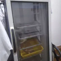 بلدرچین۲۱۰تای