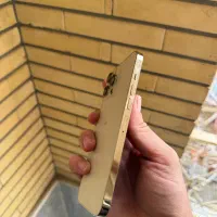 ۱۳ پرو مکس zaa دو سیم گلد ح ۲۵۶|موبایل|تبریز, |دیوار