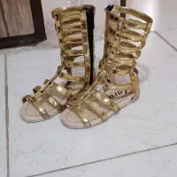 صنندل مجلسی