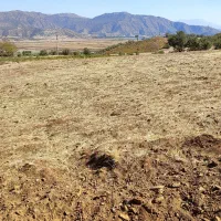 زمین کشاورزی