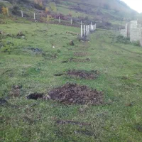 ۳۰۰متر زمین درقنبرمحله سیبلی