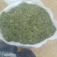 یونجه خورد شده سبز پر برگ|حیوانات مزرعه|بندرعباس, |دیوار