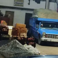 اتو بار تیموری