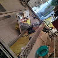 میز میوه|فروشگاه و مغازه|یاسوج, |دیوار