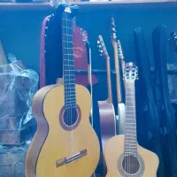 گیتار Samuel abella