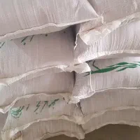 خاکشیر بذری|خوردنی و آشامیدنی|شیراز, دوکوهک|دیوار