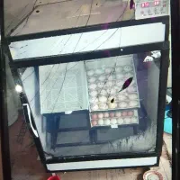 دستگاه جوجه کشی ۶۷۲تایی ستر هچر اسکندری