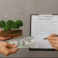 شریک وسرمایه گذار