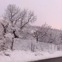 فروش باغ صفا