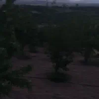 فروش زمین کشاورزی|فروش زمین و ملک کلنگی|زاینده رود, |دیوار