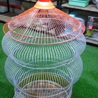 قفس چینی خوشگل