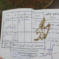 طلا|جواهرات|تبریز, |دیوار