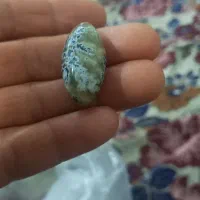 سنگ‌‌عقیق‌شجر