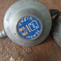 رگلاتور کپسول