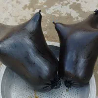 هیزه|خوردنی و آشامیدنی|سرپل ذهاب, |دیوار