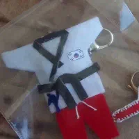جاکلیدی ورزشی تکواندو . میت .هوگو