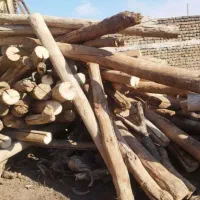 خرید فروش چوب