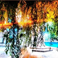 اجاره-سالانه-ویلا-دوبلکس-جنگلی-4خواب