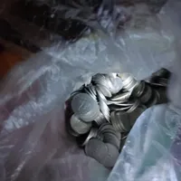 سلام ودرودفروش سکهای قدیمی قیمت هرعدد|کلکسیون سکه، تمبر، اسکناس|بندر گناوه, |دیوار