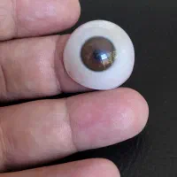 بهترین پروتزهای چشمی باکیفیت و مناسب ترین قیمت