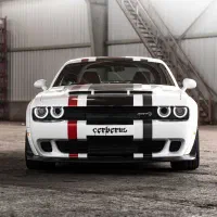 راننده خصوصی